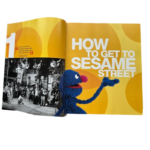 Sesame Street: A Celebration: 40 Years of Life on the Street Hardbound B… - Picture 5 of 16